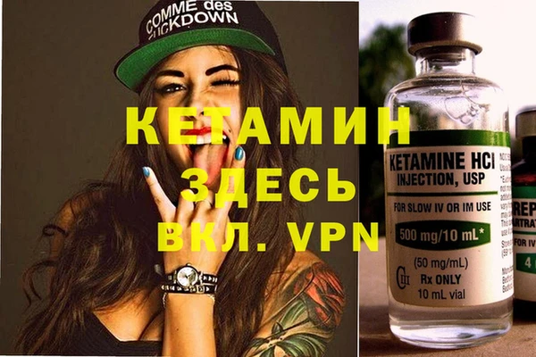хмурый Верея