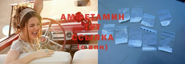 хмурый Верея