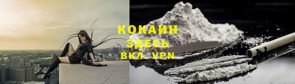 хмурый Верея