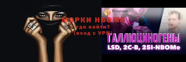 хмурый Верея