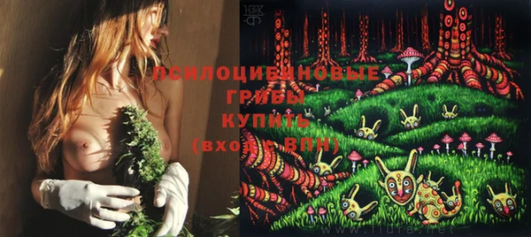 хмурый Верея
