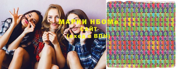 хмурый Верея
