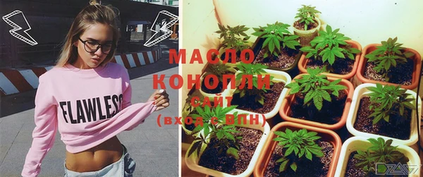 хмурый Верея