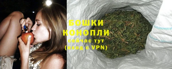хмурый Верея
