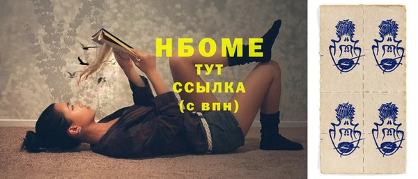 хмурый Верея