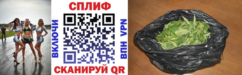 Бошки Шишки ГИДРОПОН  Купить где  Олёкминск 